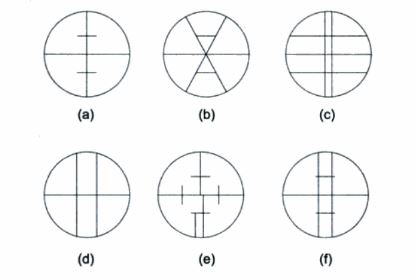 Stadia digraph