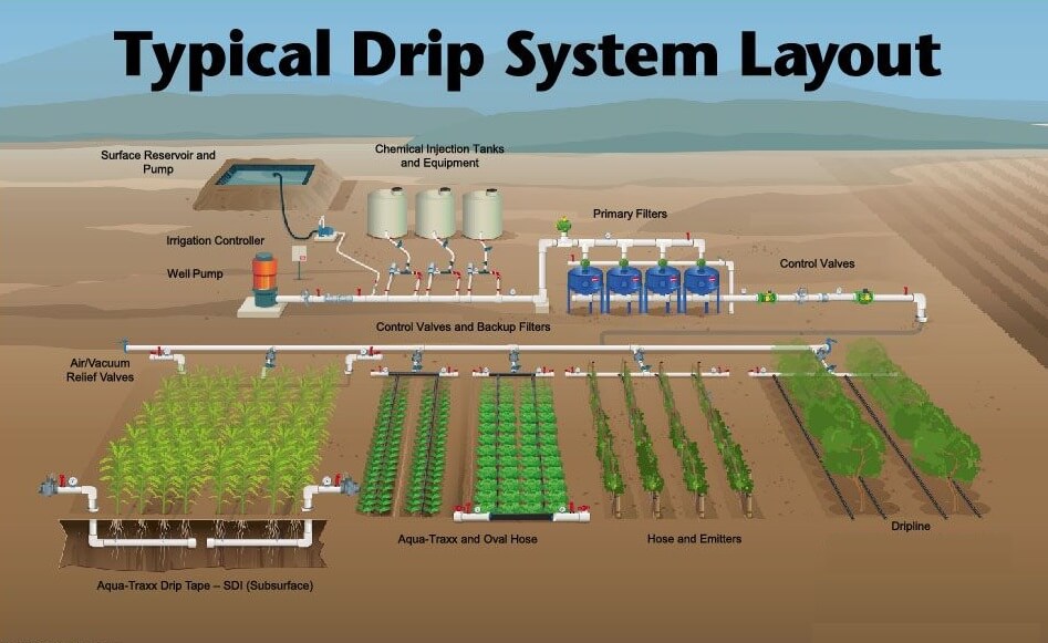 Drip Irrigation