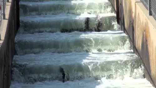 Fish Ladder