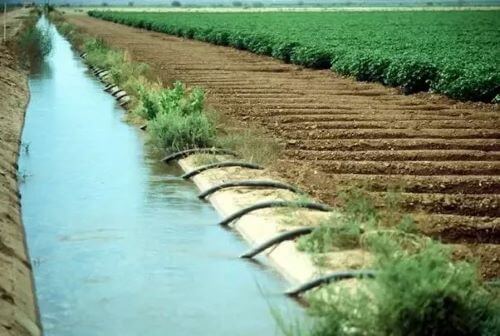 canal irrigation