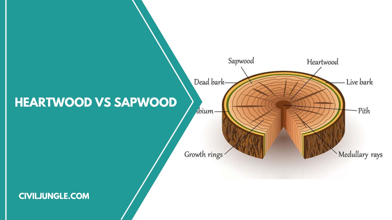 Heartwood Vs Sapwood