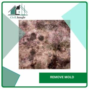 Remove Mold