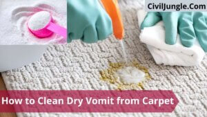 How to Get Vomit Out of Carpet