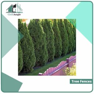 Tree Fences