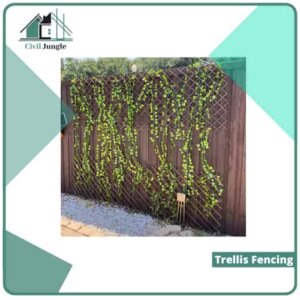 Trellis Fencing