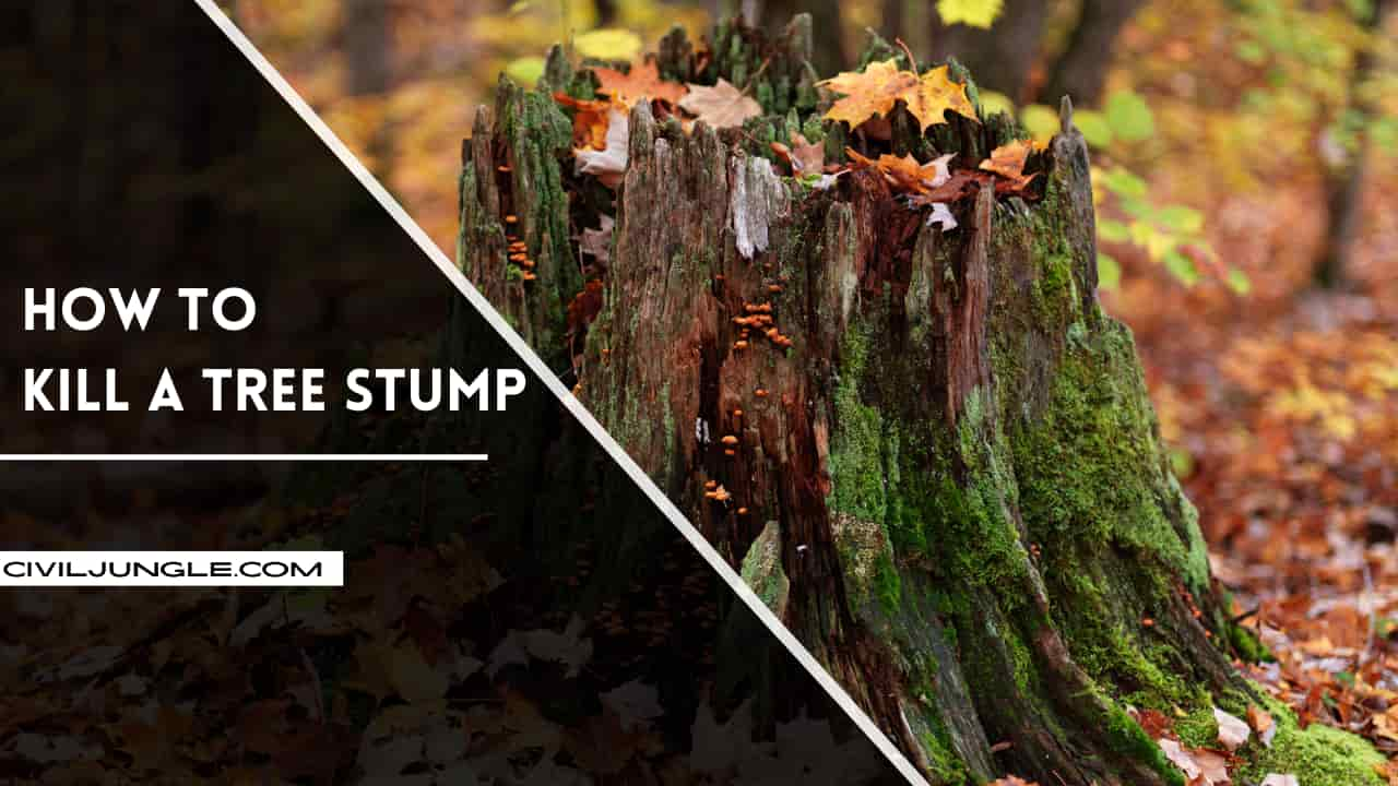 How to Kill a Tree Stump