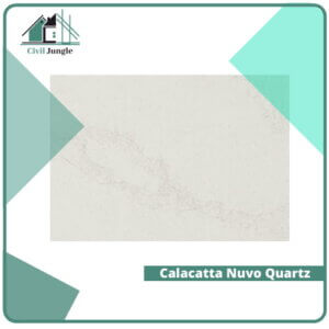 Calacatta Nuvo Quartz