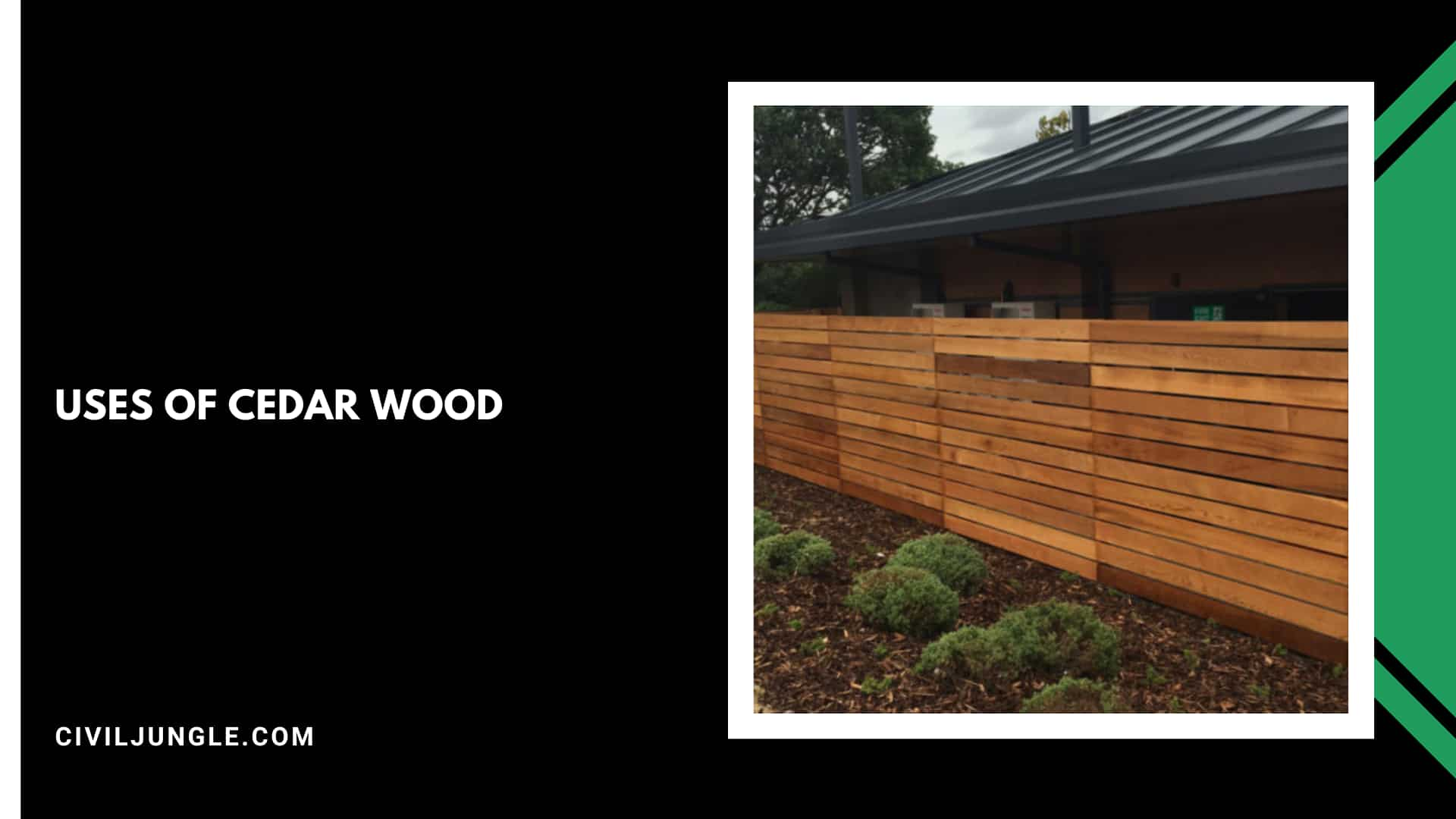 What Is Cedar Wood And Their Usage