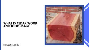 What Is Cedar Wood And Their Usage